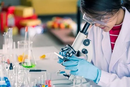 Basic English Grammar